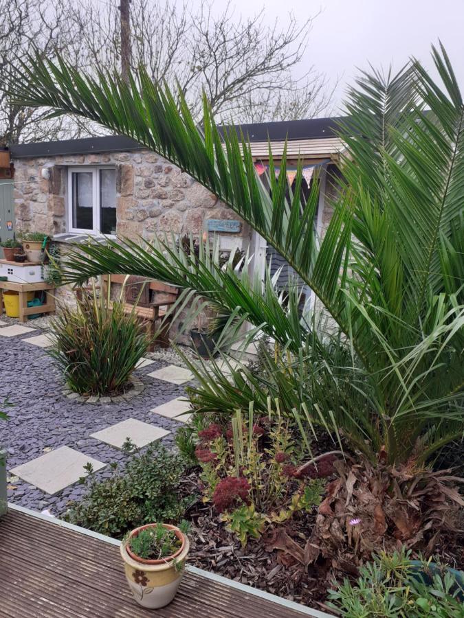 Little Pedn Apartment Penzance Exterior photo
